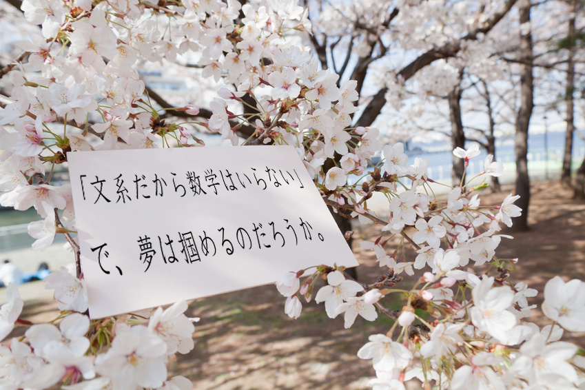 桜：文系